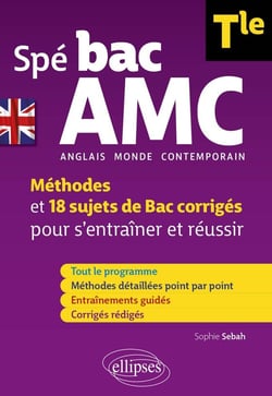 Spé bac AMC Terminale Anglais monde contemporain spécialité