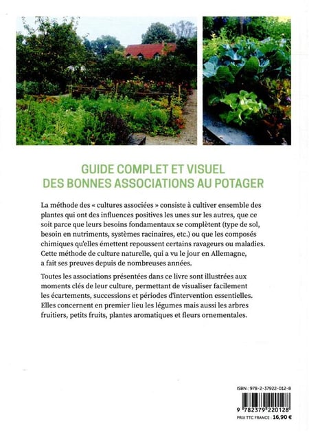 Les cultures associées au potager guide visuel des bonnes