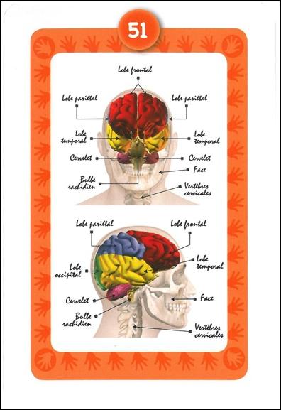 Coffret De Soins Nergetiques Soigner Sans Appareil Et Sans