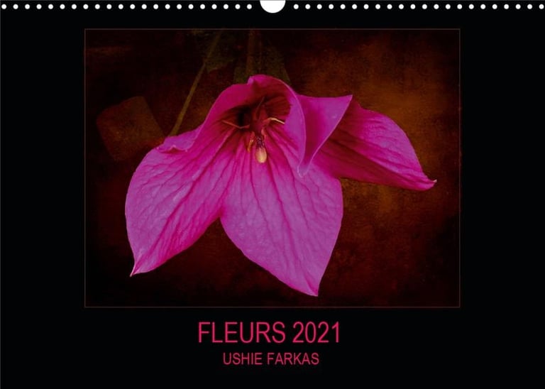 Fleurs Fr Version Calendrier Mural Din A Horizontal