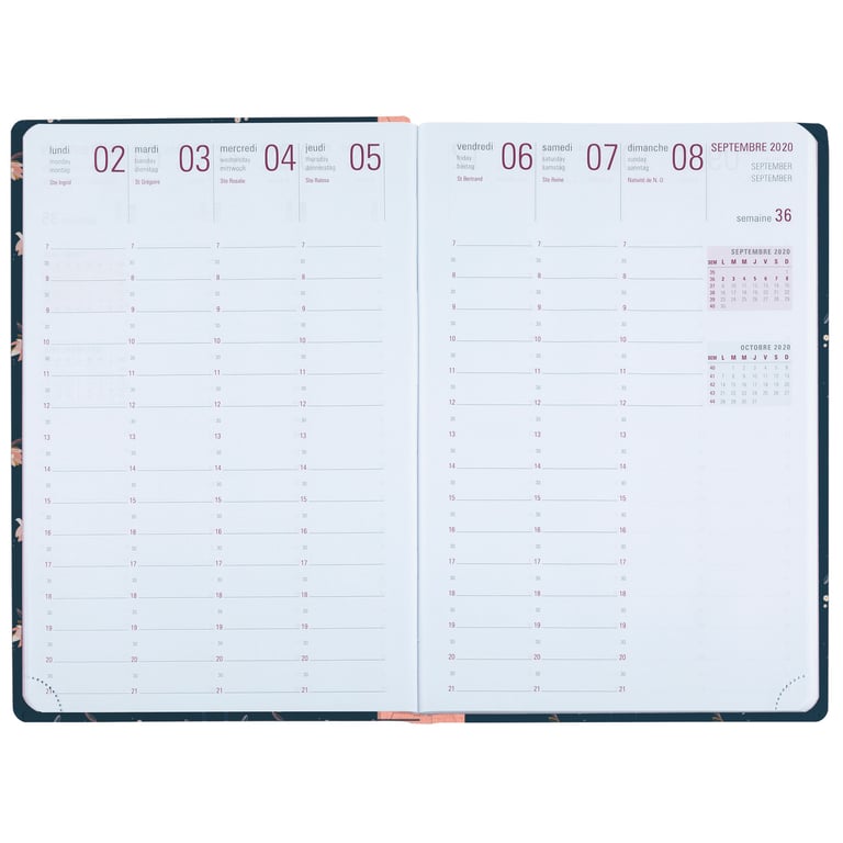 Agenda Scolaire Semainier 2020 2021 Sakura 17 X 24 5 Cm Oberthur