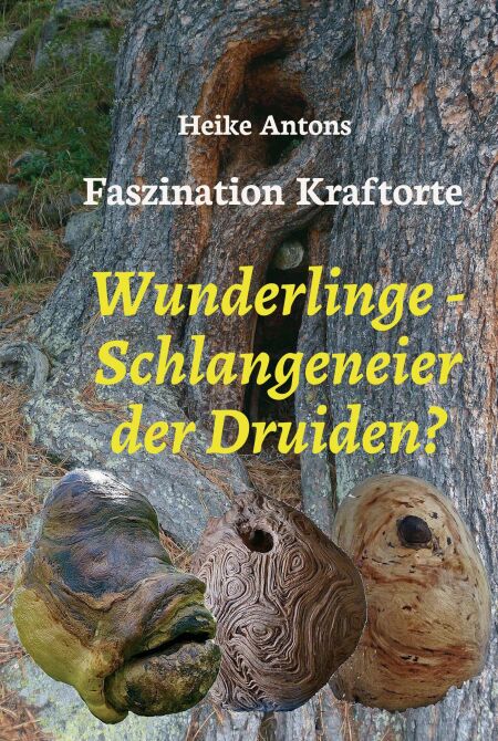 Wunderlinge Schlangeneier Der Druiden Faszination Kraftorte