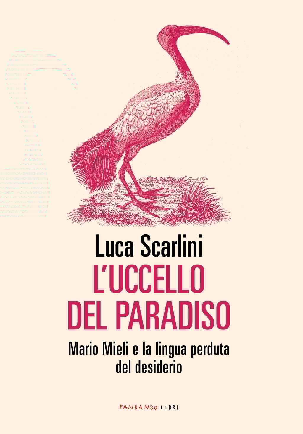 L'uccello del paradiso 9788860447029 Cultura
