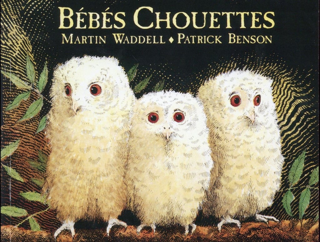 Bebes Chouettes Martin Waddell Patrick Benson Cultura