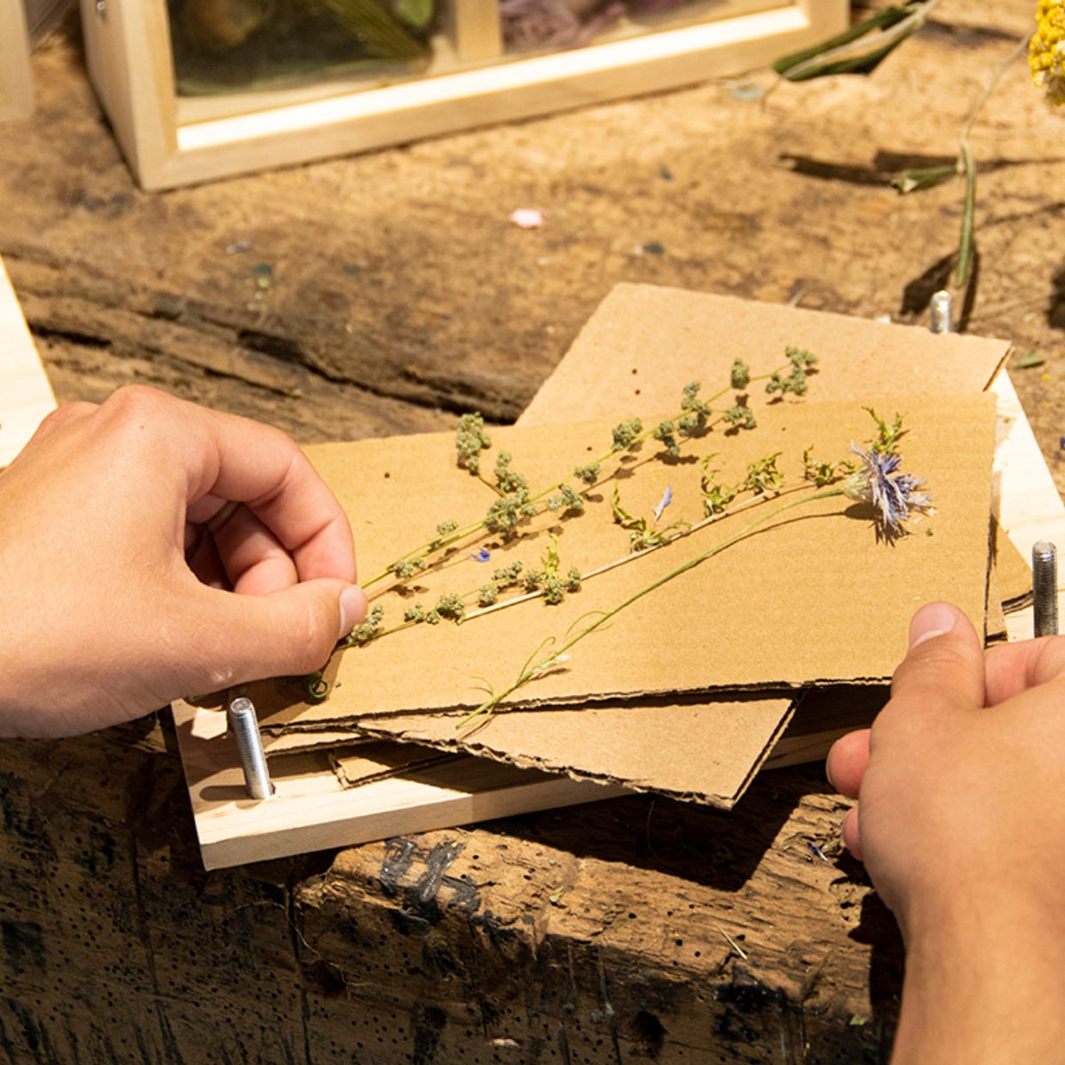 Mini Presse à Fleurs De Poche En Bois – Kit Artisanat Pour Fleurs Et Feuilles, Idéal DIY Et Cadeau Créatif