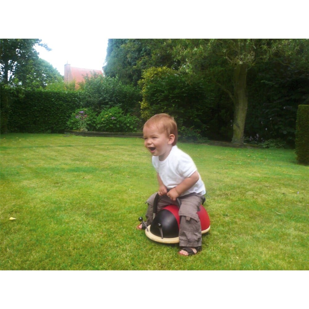 Trotteur Wheely bug coccinelle (petit modele) Jeux à enfiler et