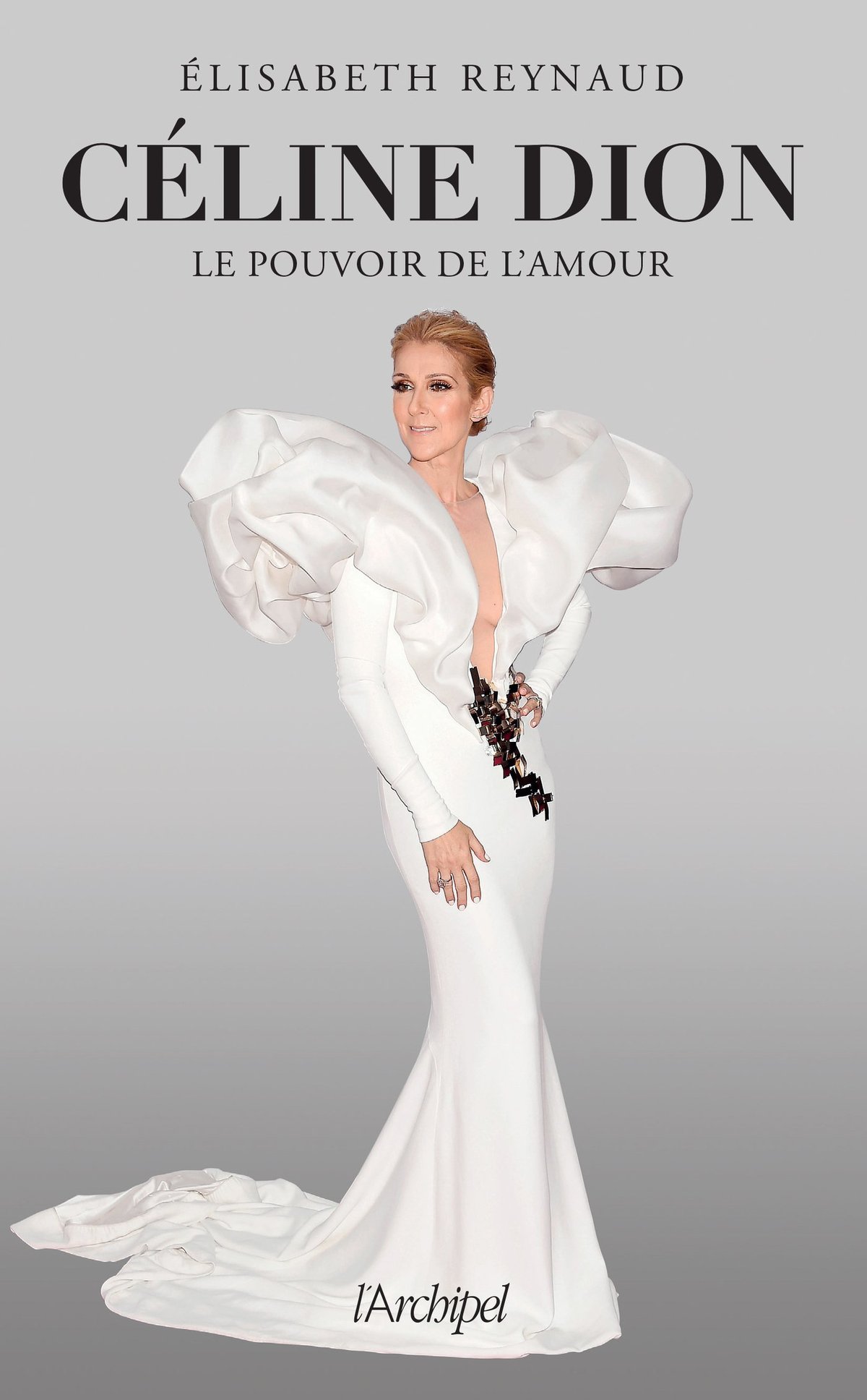 Céline Dion, le pouvoir de l'amour L'unique biographie écrite