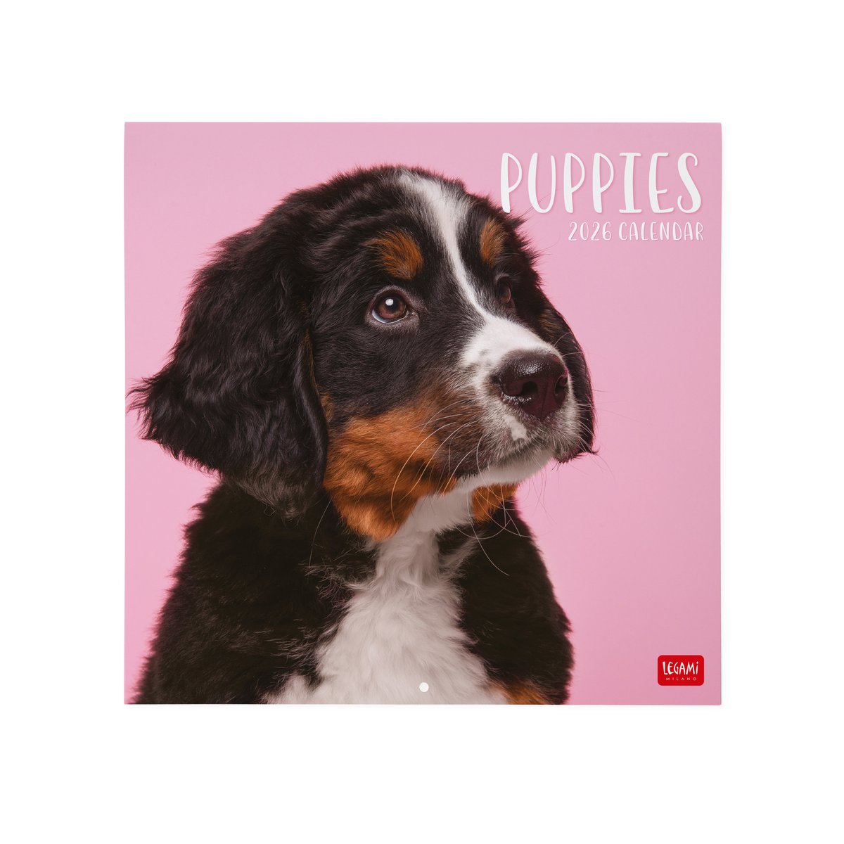 Les meilleures races de chiens pour vivre en appartement, image size:1200x1200