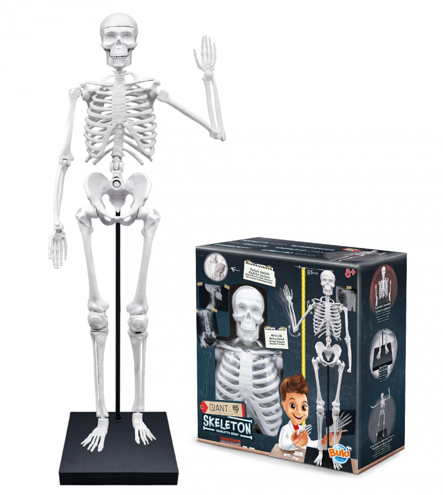 Squelette Dansant Mécanique à Remonter – Figurine Squelette Balançoire Fun – Déco Halloween & Bureau