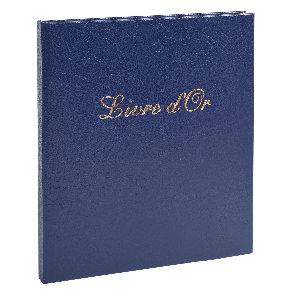 Cadeau Naissance Rose Bleu Livre D'Or Baby Shower - Fille Ou Garçon ? 64 Pages 22x19 Cm - Rose, Bleu Et Or Livre Invité 64 Pages