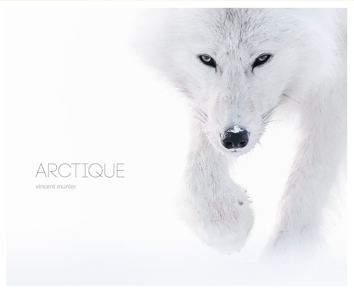 Arctique : Vincent Munier- Livre Photographie | Cultura