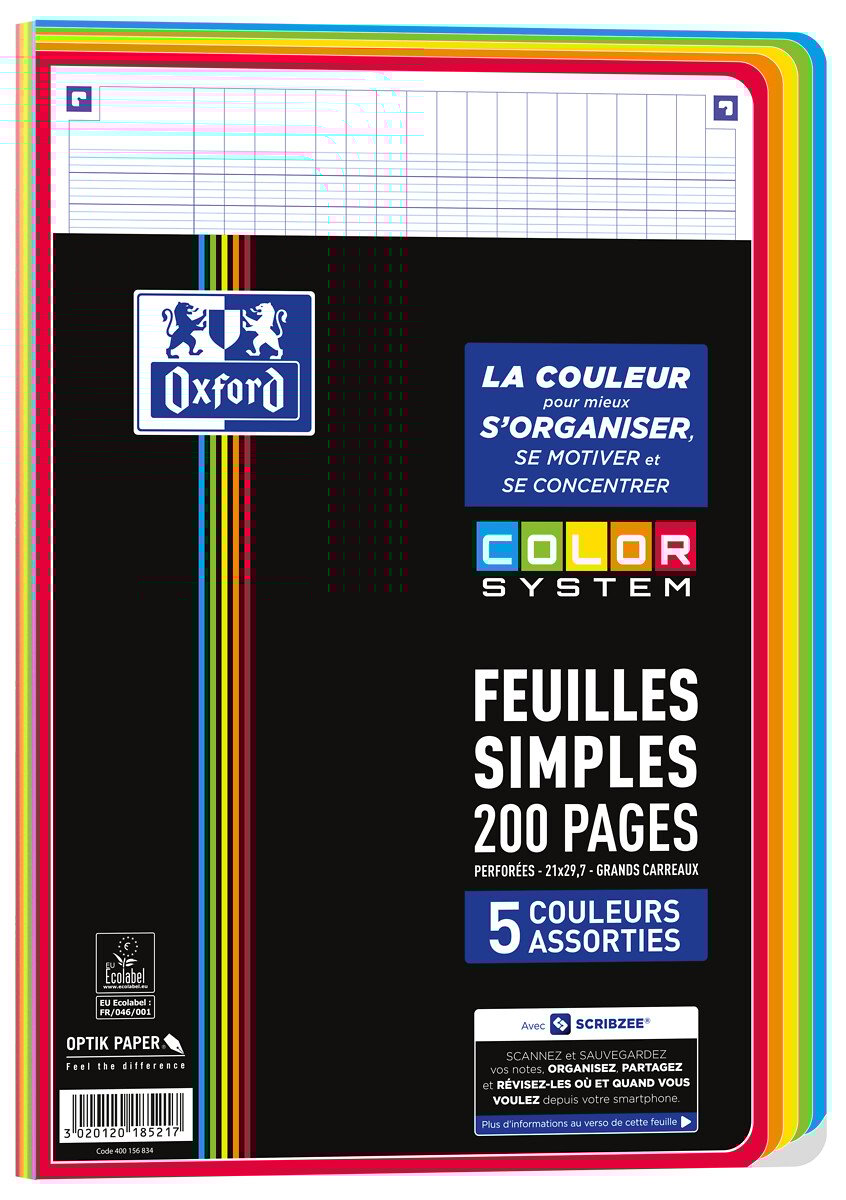 Feuilles simples A4 21 x 29.7 cm - 200 pages grands carreaux