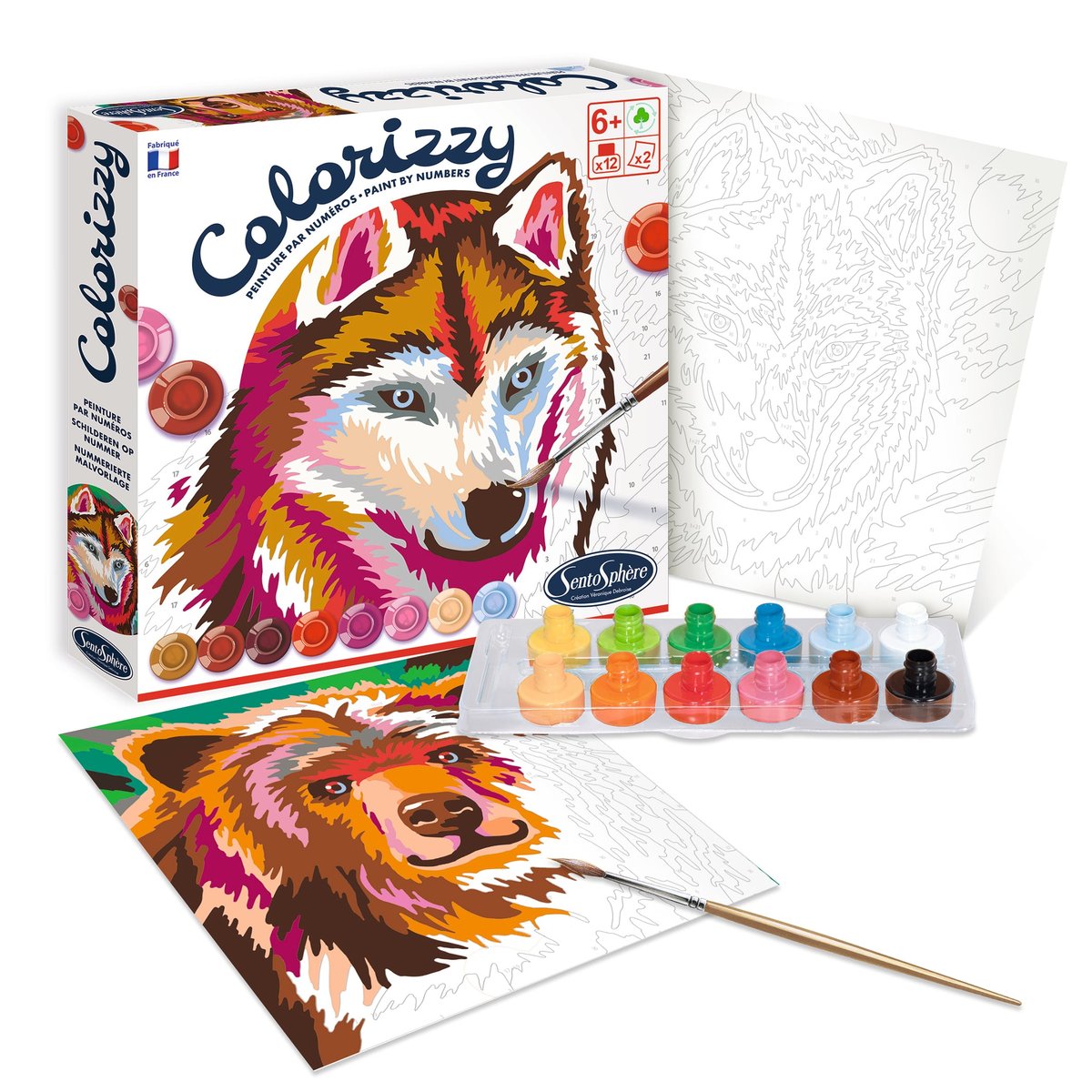 SentoSphère COLORIZZY – Peinture Par Numéros Perruches – Kit Enfant 6+ – Fabriqué En France – Éco-conçu
