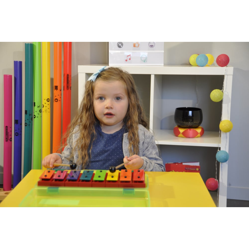 Mini-métallonotes Fuzeau – 8 Lames Métal Colorées – Do3 à Do4 – Mallette De Transport – Dès 3 Ans