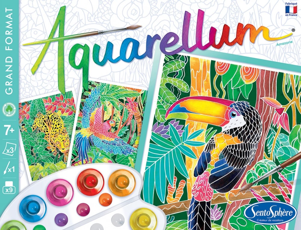 SentoSphère Aquarellum Dauphins - Kit Peinture Magique Aquarellable Dès 7 Ans - Fabriqué En France