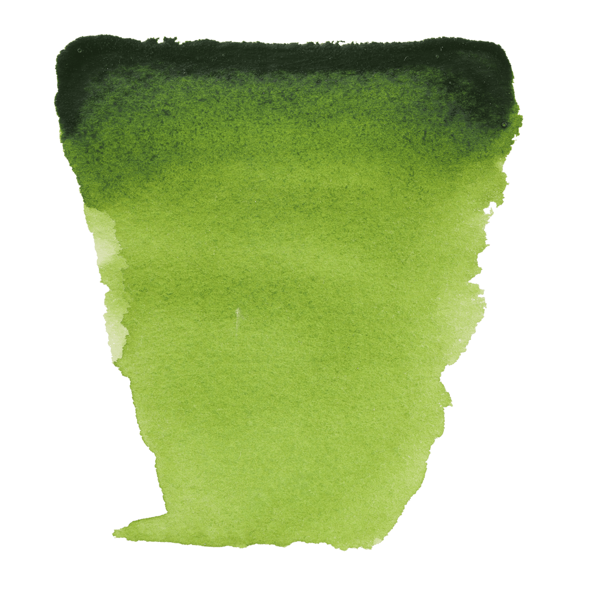 Pintur Aquarll - Boît 12 Dmi-godts - Paltt Intégré