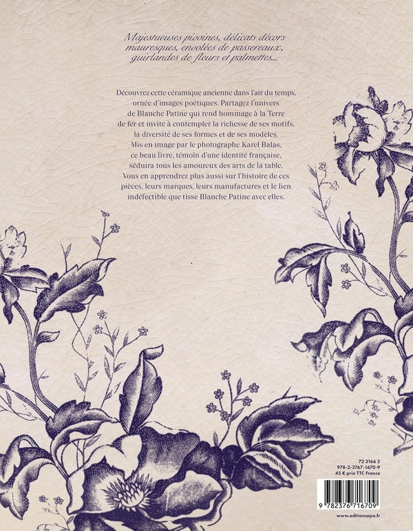 Terre de fer : Blanche Patine | Cultura