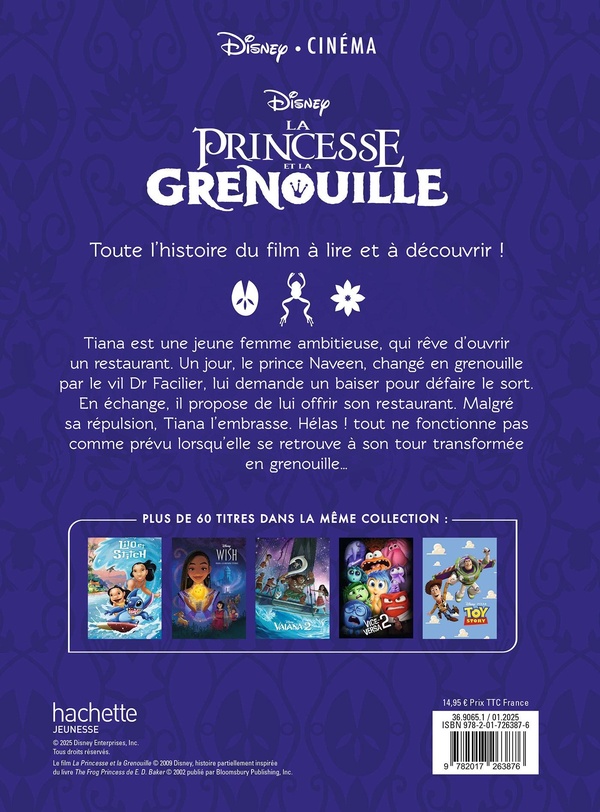 Poster Princesse Et Grenouille Sur Toile - Impression D'Art Moderne 20x30 Cm, Pour Chambre, Salon, Bureau - 2