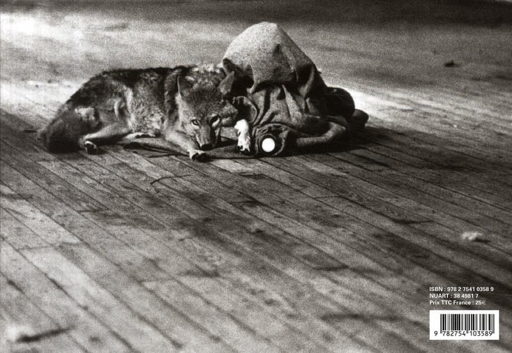 Joseph beuys - coyote : Caroline Tisdall - Livre Peinture | Cultura