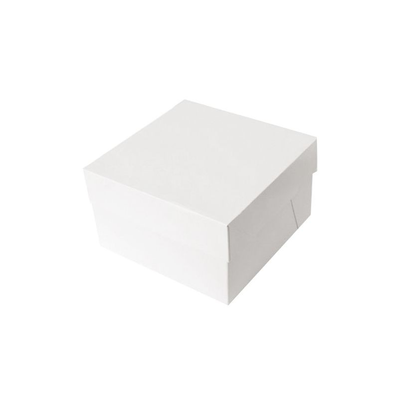 Boîtes à Gâteaux Blanches - Lot De 10 Avec Couvercles 25x25x15 Cm
