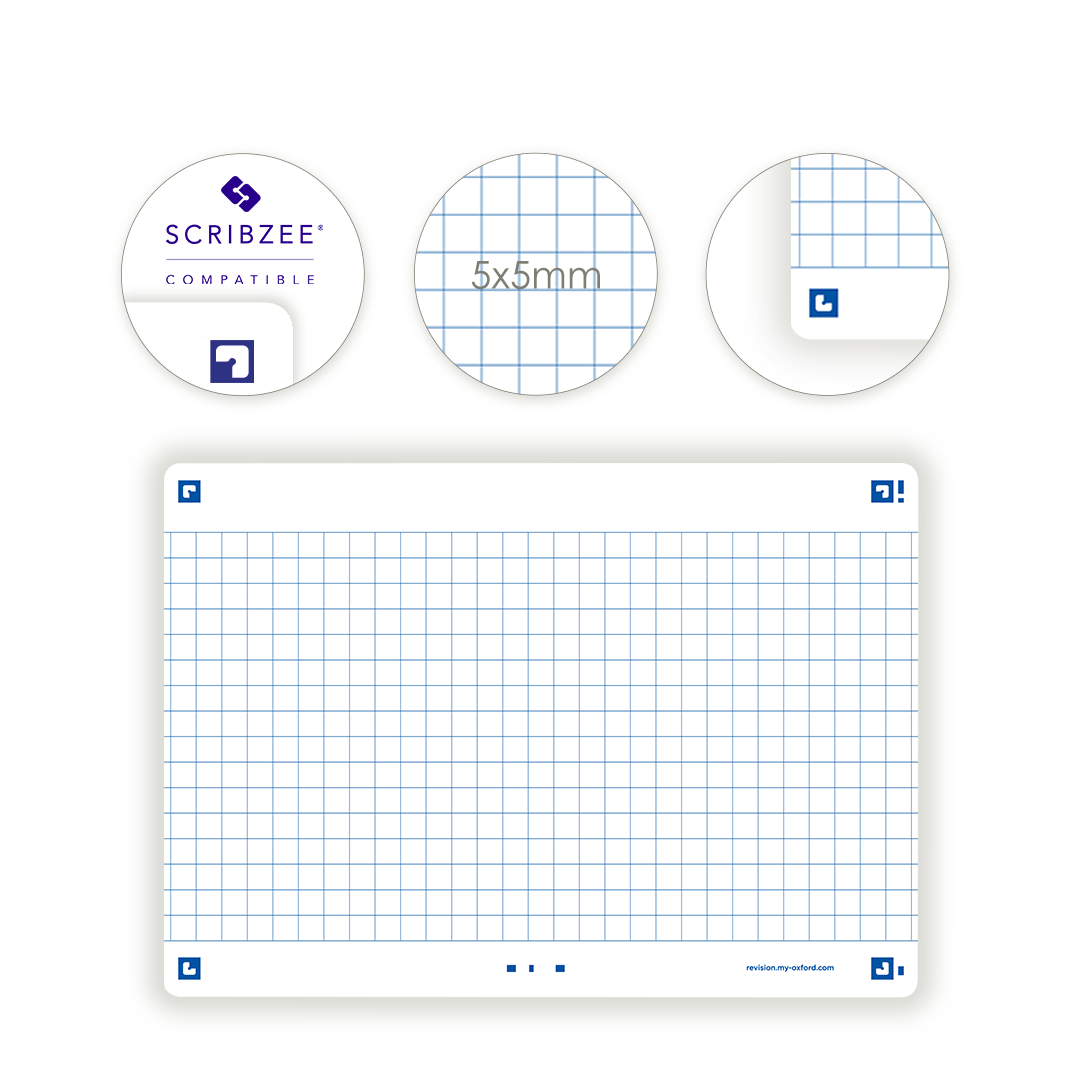 8 Chaînes D'Extension Pour Bijoux - 4 Tailles (5cm à 16cm) En Alliage Doré - Collier, Bracelet, Cheville
