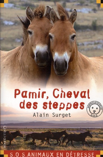 Pamir, cheval des steppes