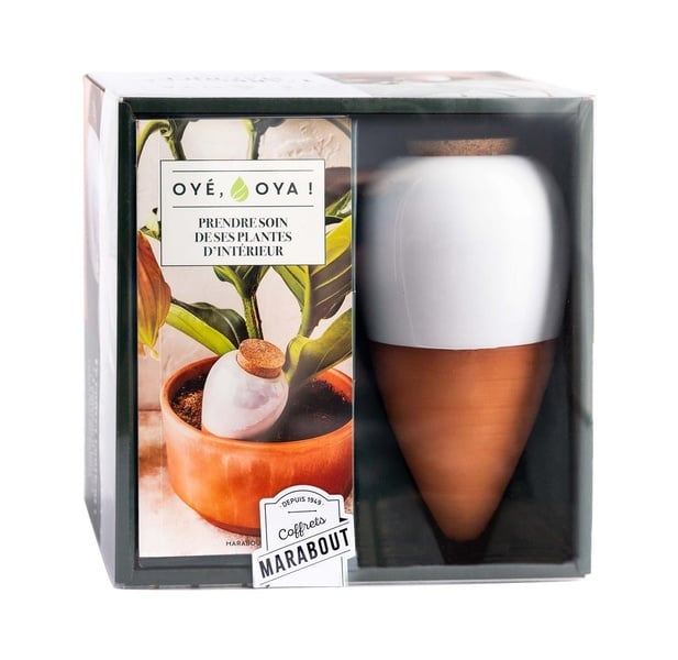 Oyé, Oya ! Prendre soin de ses plantes d'intérieur