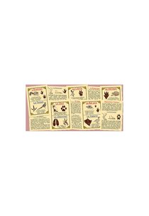 Empreintes d'animaux de nos campagnes