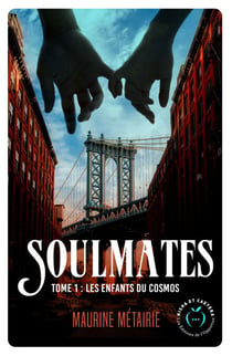 Les voleurs de New York
