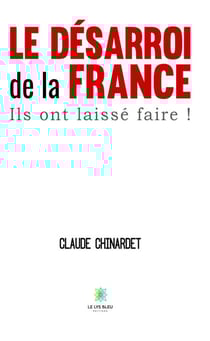 Le désarroi de la France - Ils ont laissé faire !