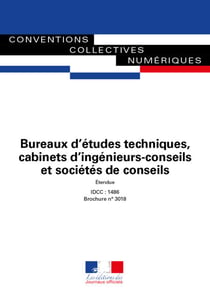 Bureaux d'études techniques, cabinets d'ingénieurs-conseils et sociétés de conseils - Convention collective nationale - IDCC 1486 - n°3018