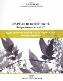 Les pôles de compétitivité : que peut-on en attendre ?