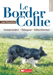 Le Border collie - Légumes anciens saveurs nouvelles