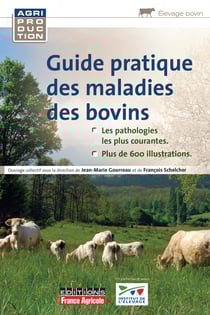 Guide pratique des maladies des bovins - La production du mouton