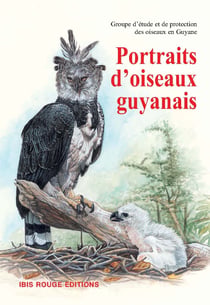 Portraits d'oiseaux guyanais