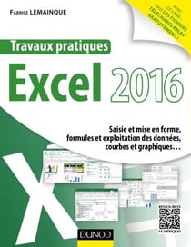 Travaux pratiques avec Excel 2016 - Saisie et mise en forme, formules et exploitation des données, courbes et graphiques...