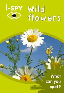 i-SPY Wild Flowers - What can you spot?