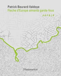 Cycle des exils (VII) - Flache d’Europe aimants garde-fous