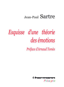 Esquisse d'une théorie des émotions