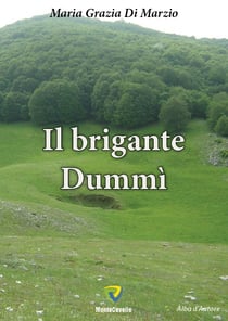 IL BRIGANTE DUMMI'