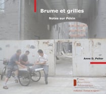Brume et grilles - Notes sur Pékin