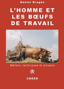 L'homme et les bœufs de travail