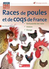 Races de poules et de coqs de France - Retour des pénuries alimentaires ?