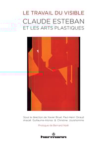 Le Travail du visible - Claude Esteban et les arts plastiques