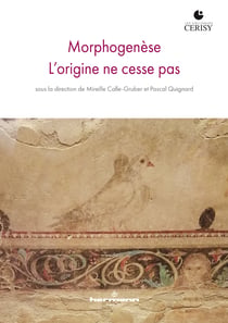 Morphogenèse - L'origine ne cesse pas