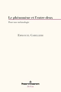 Le phénomène et l'entre-deux - Pour une métaxologie