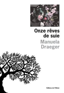 Onze rêves de suie
