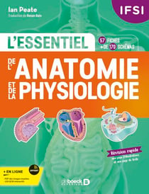 IFSI - L'essentiel de l’anatomie et de la physiologie humaines en fiches - 57 fiches - Plus de 170 illustrations