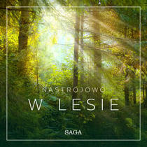 Nastrojowo - W lesie