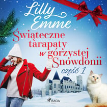 Swiateczne tarapaty w górzystej Snowdonii - czesc 1